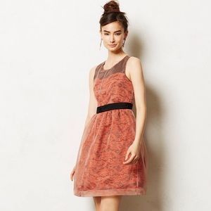 Anthropologie lace and organza dress
